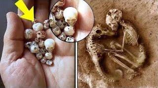 Mini skulls buried with seahorses 6 of the weirdest skeletons ever found