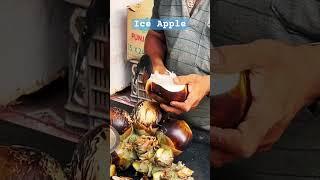 Ice Apple ताड़ का गोला के फ़ायदे mumbai street food  ice apple in south india