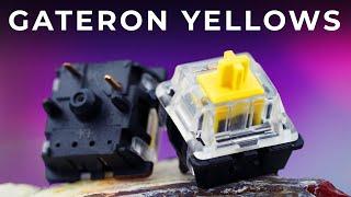 The ULTIMATE Budget Linear Gateron Yellows Review