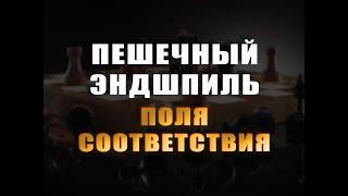 Урок Эндшпиля №2 Пешечник поля соответствияшахматы