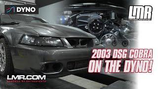 Whippled 2003 DSG Cobra Mustang Makes MASSIVE POWER