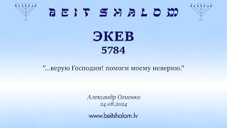 ЭКЕВ 5784. ...верую Господин помоги моему неверию. Александр Огиенко 24.08.2024