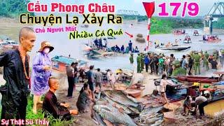 Kỳ lạ Cầu Phong Châu cá chỗ người mất trúng nhiều quá Sự thật Sư Thầy làm điều lạ