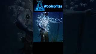 woodsprites  Avatar The Way of Water #Shorts #shortsvideo #avatar2