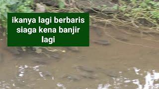 cek lokasi ikan yg habis kebanjiran depan asrama