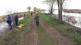 ЛОВЛЮ КАРАСЯ В ТОЛПЕ ПОПЛАВОЧНИКОВ НА СПИННИНГ. Ловля карася на мормышинг.