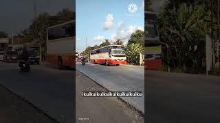 ikuikuikuikuiku bis legend #bus #shortvideo