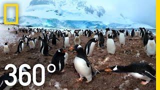 360° Antarctica - Unexpected Snow  National Geographic