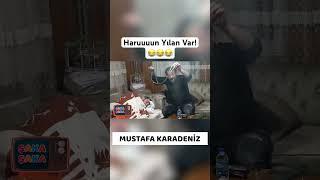 Haruuuun Yılan Var #mustafakaradeniz #kameraşakası #shorts