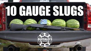 10 GAUGE VS WATERMELONS 