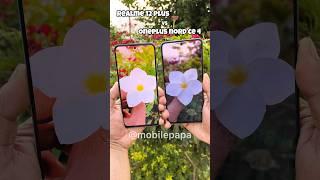 Camera Compare Realme 12 Plus vs Oneplus Nord CE 4  #shorts #realme12plus #oneplusnordce4