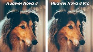 Huawei Nova 8 vs Huawei Nova 8 Pro Camera Test  This Looks Special