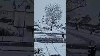 Snow Germany ️ #krefeld