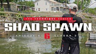 The SHAD Spawn – Targeting Early Post Spawn Bass