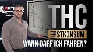 THC COOH Abbau EINMALIGER Konsum  EXPERTE erklärt wann du WIEDER Auto fahren darfst  2023