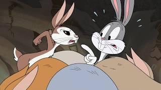 New Looney Tunes  Are You A Real Rabbit?  WB Animation