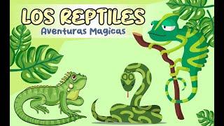 Los Reptiles - Video Educativo Para Niños