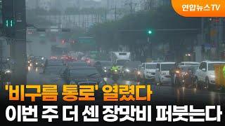 비구름 통로 열렸다…이번 주 더 센 장맛비 퍼붓는다  연합뉴스TV YonhapnewsTV