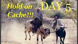 Day 5 Horse wont stop bucking while roping wild cattle
