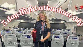 I got stuck in Dallas - flight attendant vlog