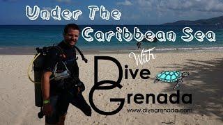 Diving in the Caribbean Sea With Dive Grenada