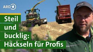 Roggen häckseln für Biogasanlage Bauer Georg am Steilhang - Hofgeschichten #15  Unser Land  BR