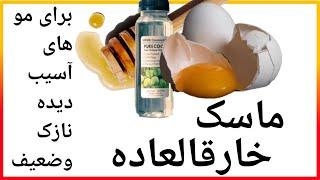 خواص فوق العاده ماسک تخم مرغ وروغن زیتون برای موهای آسیب دیده#خشک ووز۱۰۰٪ طبیعی+آموزش ساخت