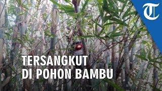 Viral Video Motor Matik Nyangkut di Pohon Bambu Kepala Dusun Jelaskan Awal Kejadian