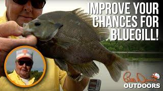 Improve Your Chances For Bluegill  Bill Dance Outdoors