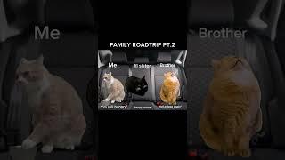 Cat Memes Roadtrip PT.2  #shorts #cat #relatable