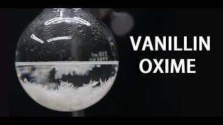 Making Vanillin Oxime Capsaicin precursor