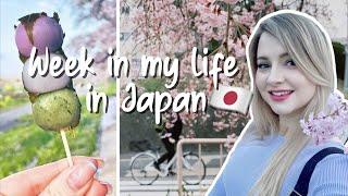 Week in my Life Japan  cherry blossoms festivals + spring vibes