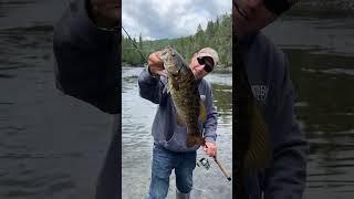 Big Dog Lake Missanabie Ontario Canada Smallmouth Bass  #fishing #shorts #smallmouthbass