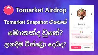 Tomarket Snapshot එකෙන් මොකක්ද වුනේ  Telegram Airdrop  Tomarket App