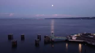 Serene Retreat at Airbnb Ferry Cove  Whidbey Island Getaway 