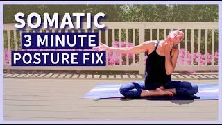 SOMATIC Vagus Nerve Yoga for Nervous System Head Neck + Shoulders