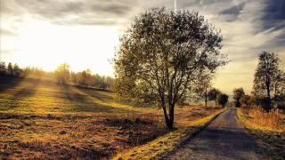 The Autumn Road