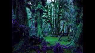 Psychogenic Shivers - ASMR Optimised - Living Forest 369hz-3x