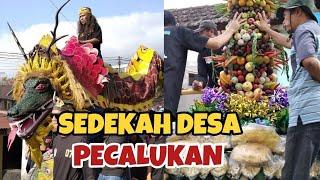 Sedekah Desa Pecalukan Dan Legenda Leluhur Pecalukan