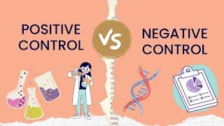 Positive Control vs Negative Control  Experimental Group