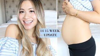 Pregnancy Update 14-15 Weeks Baby #3 The Golden Trimester Happy Energetic  HAUSOFCOLOR