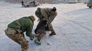 Спецоперация ФСБ России задержано 49 пособников террористов