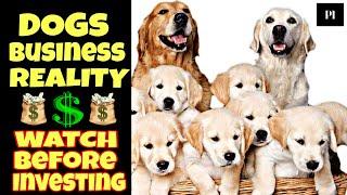 Dog business reality that you must know before starting in Hindi  Petsinfomania.