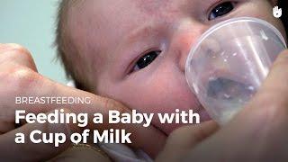 Feeding a baby with a cup of milk  Breastfeeding