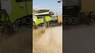 claas trion and vario  combine harvester #ikadanysuwanto