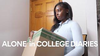 ALONE IN COLLEGE DIARIES college move in life in nyc living alone