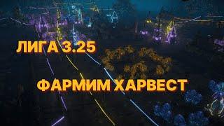 ЛИГА 3.25 _ ПРИБЫЛЬНЫЙ ФАРМ ХАРВЕСТА  PATH OF EXILE 