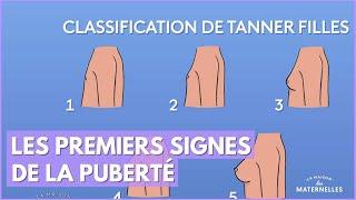 Les premiers signes de la puberté - La Maison des maternelles #LMDM