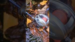 Soloking Acura Pro and Purelure Creek Dance Ultralight BFS Fishing Combo