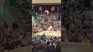 The BEST Sumo Match of the Tournament  #japan #sumo